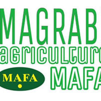 MAGRABI agriculture 